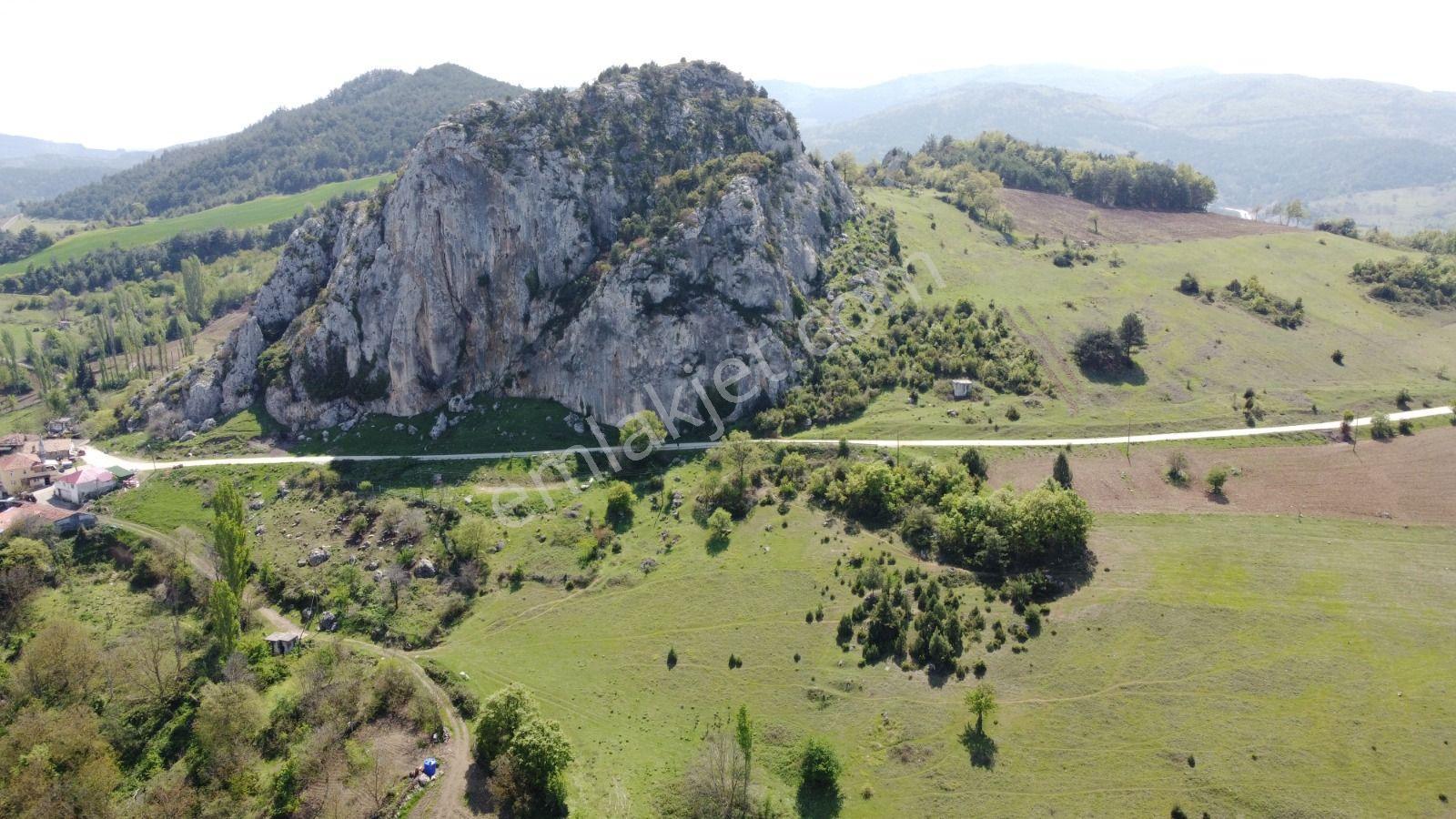 Sakarya Geyve Ahibaba Da Yola Cepheli 12.652 M²yatırımlık Arazi - Görsel 5