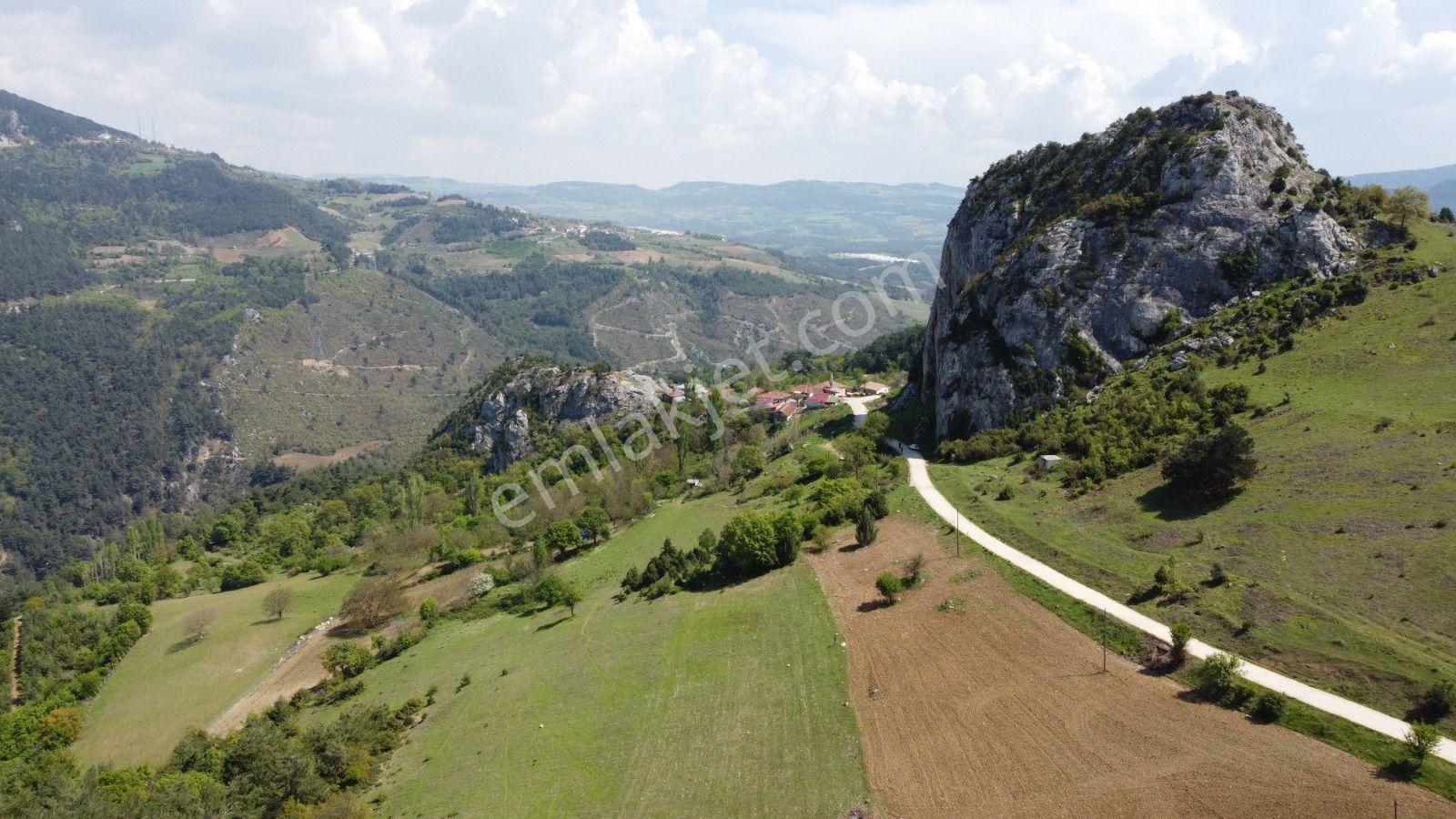 Sakarya Geyve Ahibaba Da Yola Cepheli 12.652 M²yatırımlık Arazi - Görsel 8