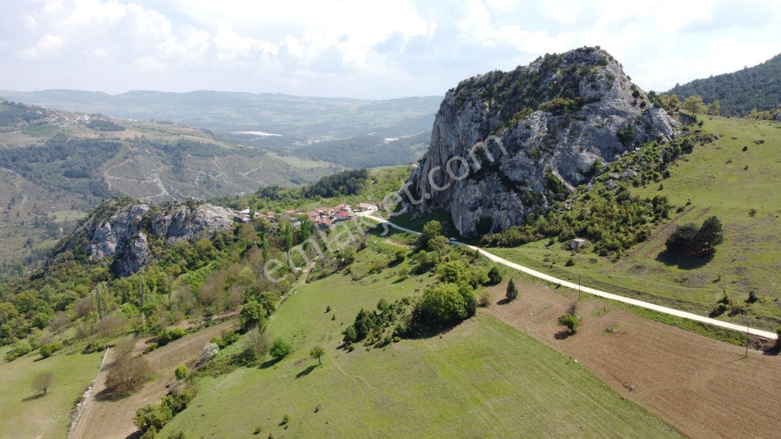 Sakarya Geyve Ahibaba Da Yola Cepheli 12.652 M²yatırımlık Arazi - Görsel 7