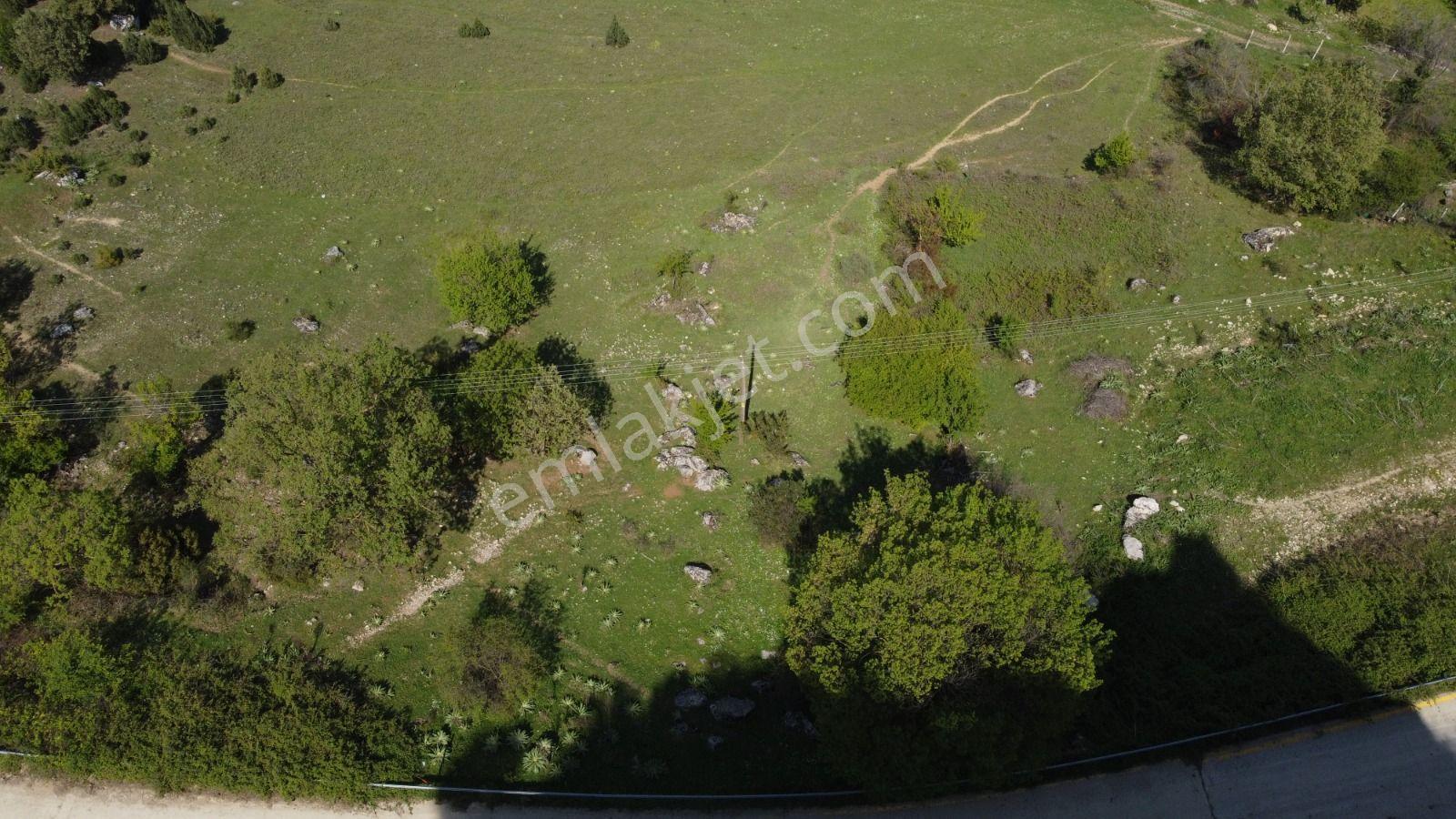 Sakarya Geyve Ahibaba Da Yola Cepheli 12.652 M²yatırımlık Arazi - Görsel 13