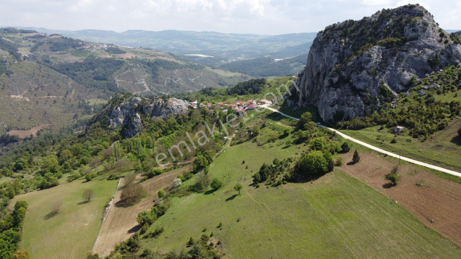 Sakarya Geyve Ahibaba Da Yola Cepheli 12.652 M²yatırımlık Arazi - Görsel 6