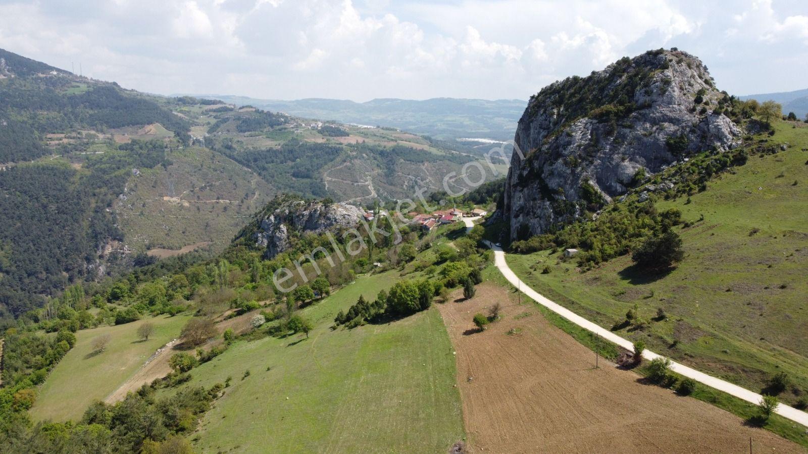 Sakarya Geyve Ahibaba Da Yola Cepheli 12.652 M²yatırımlık Arazi - Görsel 21