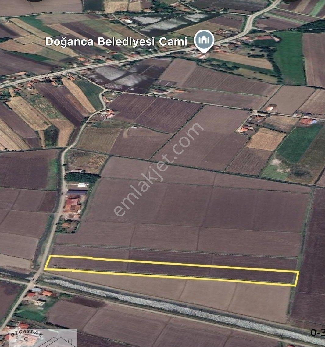 Satılık Bafra Doğanca Tarla - Görsel 2