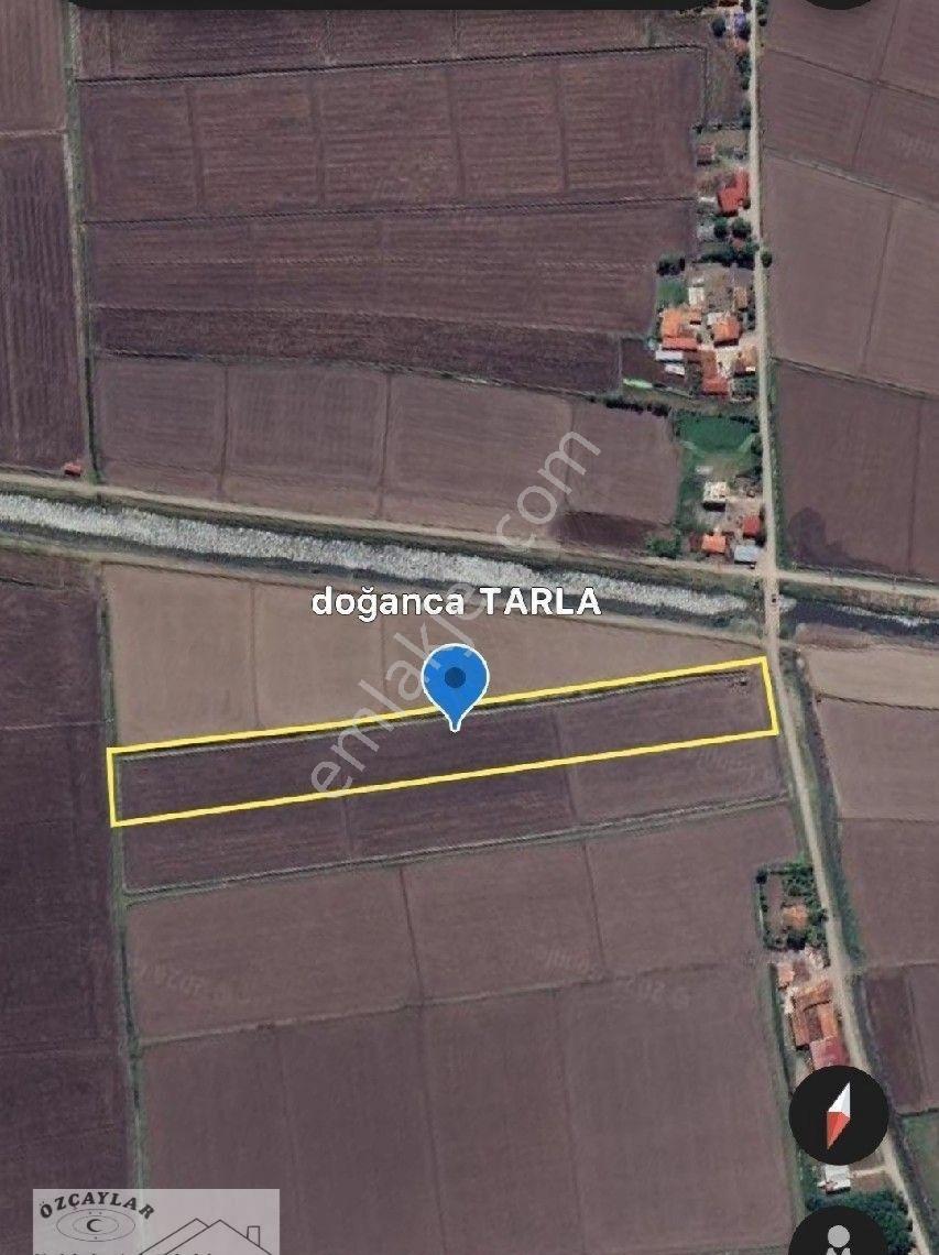 Satılık Bafra Doğanca Tarla