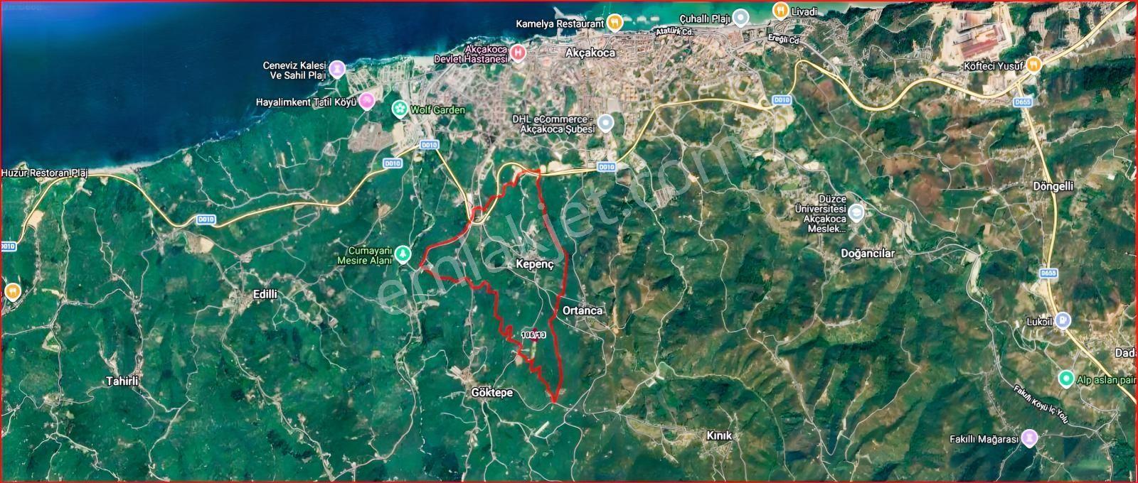 Düzce Akçakoca Merkez Satılık Tek Tapu Müstakil Fındık Bahçesi - Görsel 11