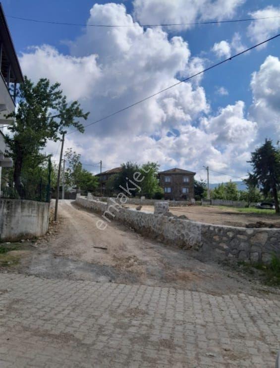 Düzce Akçakoca Merkez Satılık Tek Tapu Müstakil Fındık Bahçesi - Görsel 4