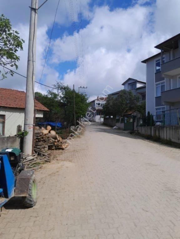 Düzce Akçakoca Merkez Satılık Tek Tapu Müstakil Fındık Bahçesi - Görsel 3