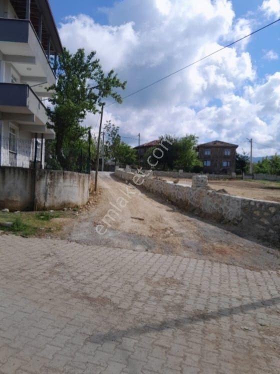 Düzce Akçakoca Merkez Satılık Tek Tapu Müstakil Fındık Bahçesi - Görsel 17