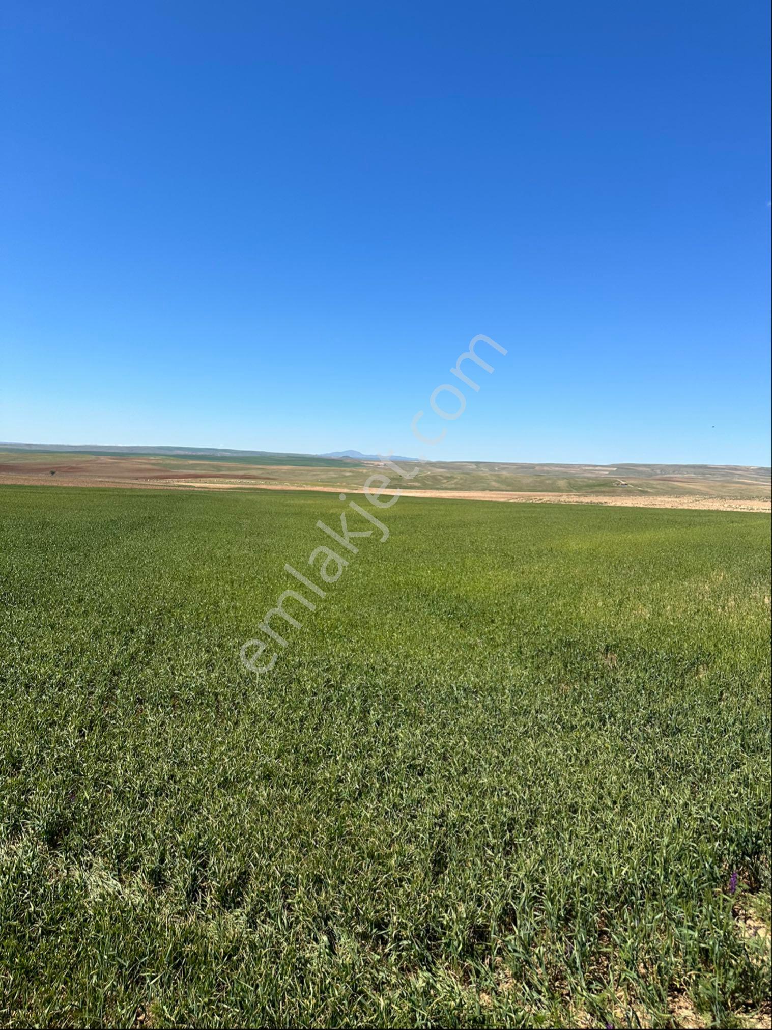 Sahibinden 151.000 M2 Tek Tapu Düz Taşsız Arazi - Görsel 12
