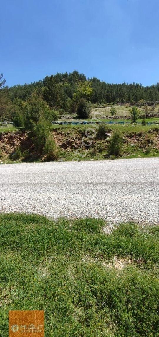 Muğla Denizova Satılık 4178m2 Yol Kenarı Tarla - Görsel 5