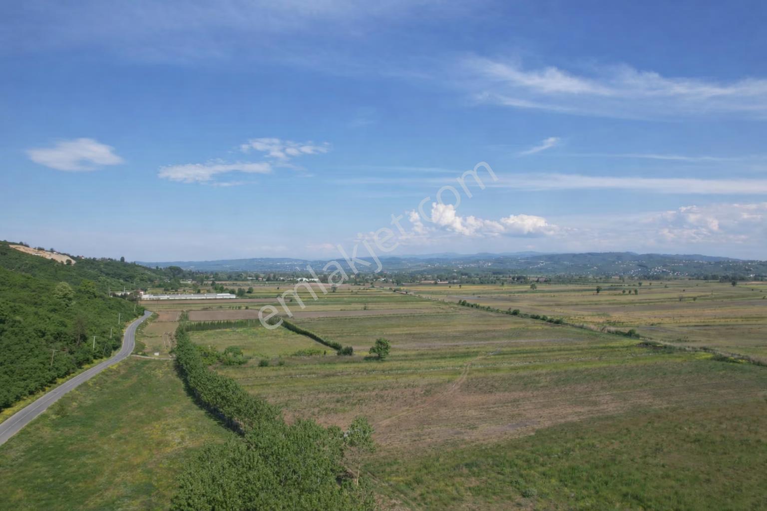 Sahibinden Ferizli Osb Genişleme Kuşağında 5.600 M² Düz Arsa - Görsel 3