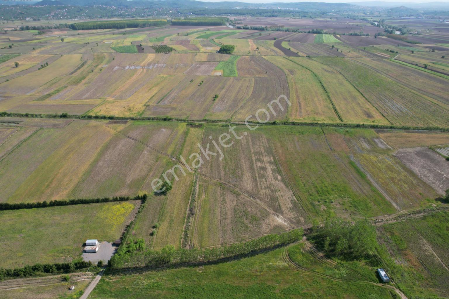 Sahibinden Ferizli Osb Genişleme Kuşağında 5.600 M² Düz Arsa