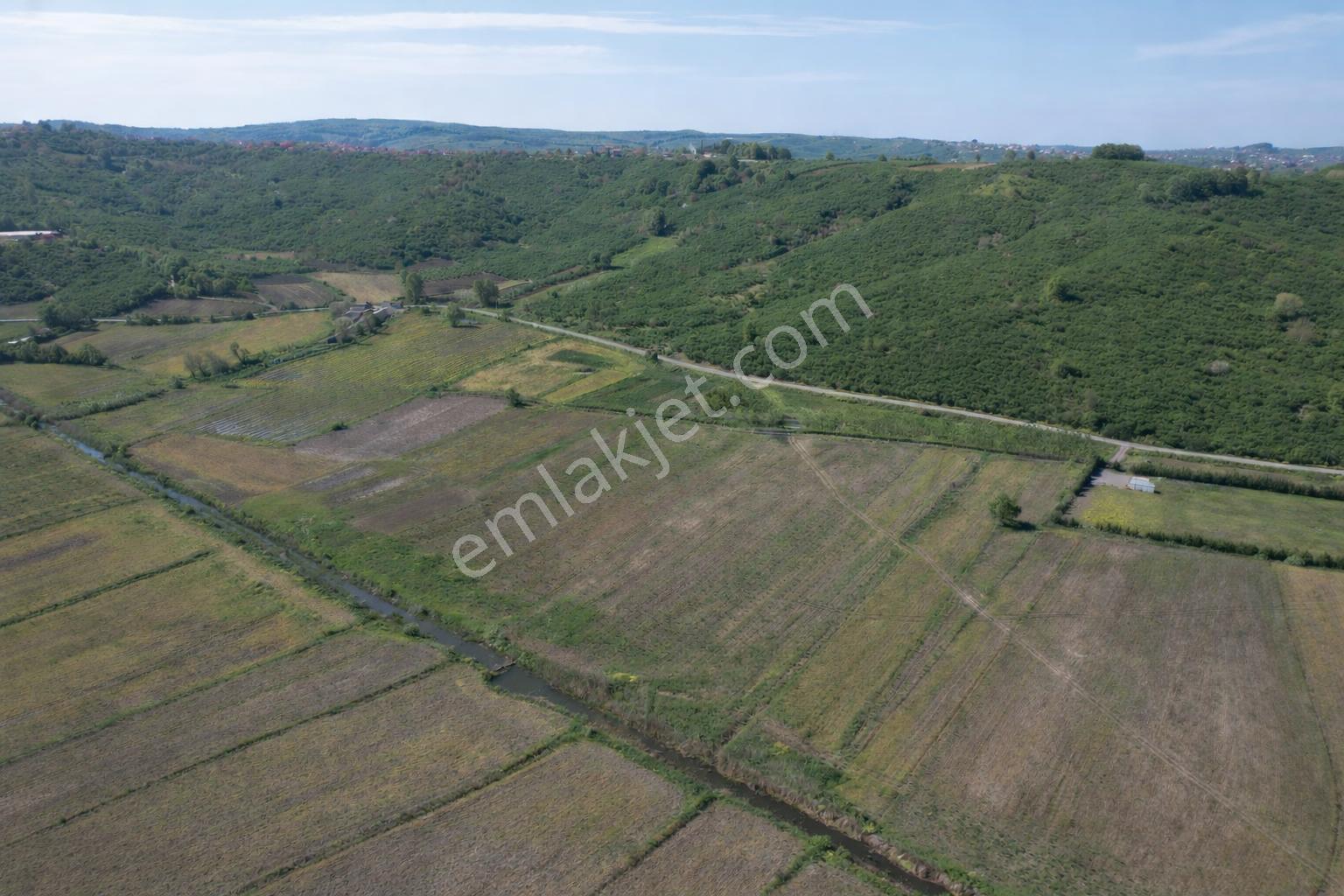 Sahibinden Ferizli Osb Genişleme Kuşağında 5.600 M² Düz Arsa - Görsel 2