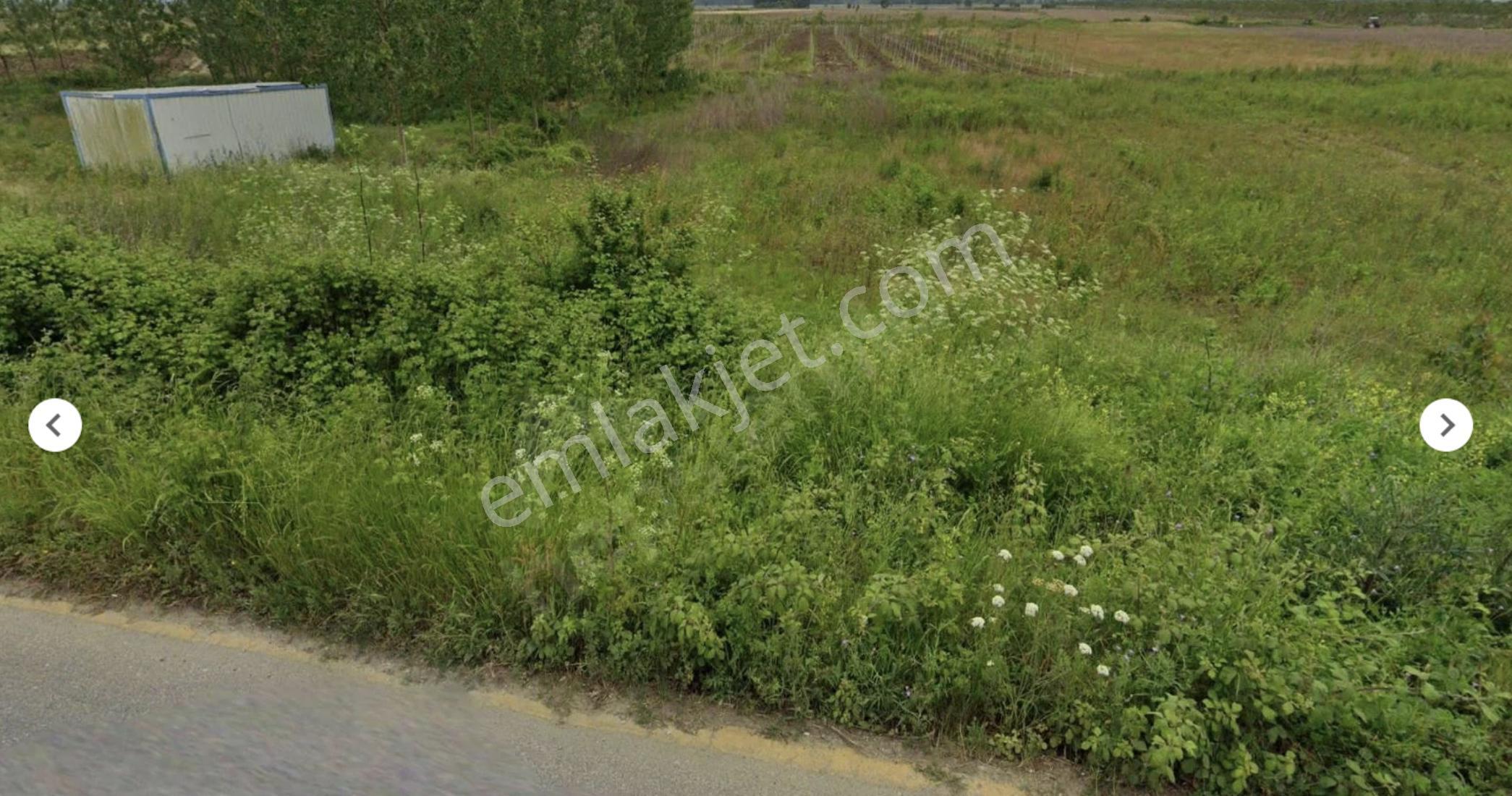 Sahibinden Ferizli Osb Genişleme Kuşağında 5.600 M² Düz Arsa - Görsel 5