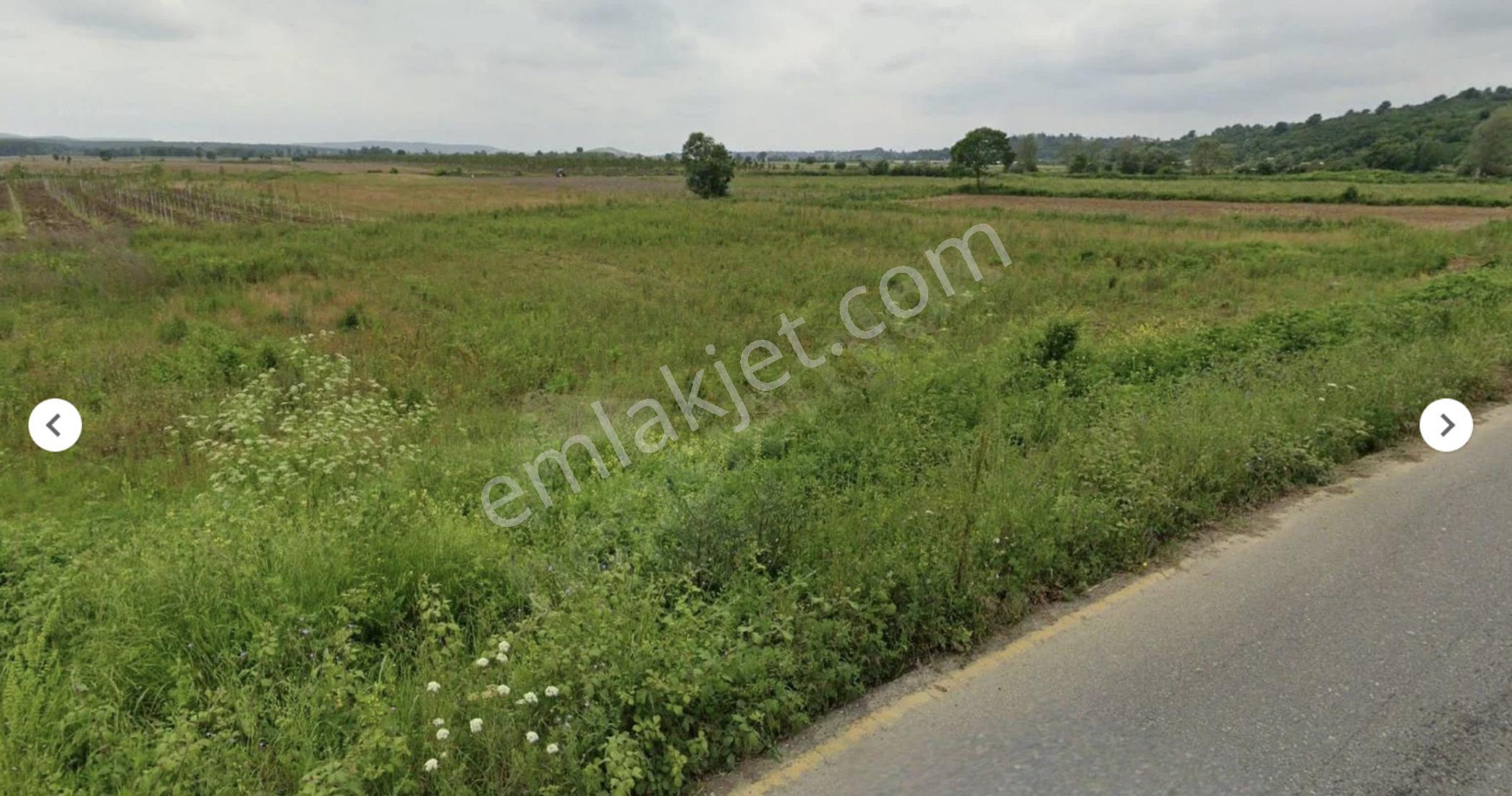 Sahibinden Ferizli Osb Genişleme Kuşağında 5.600 M² Düz Arsa - Görsel 4