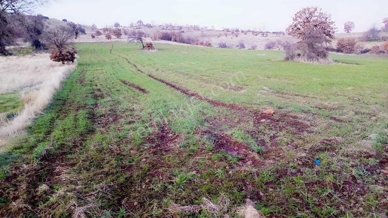Manisa Kula Ana Yoluna Yakın Yola Cepheli Fırsat Satılık Bağ - Görsel 13