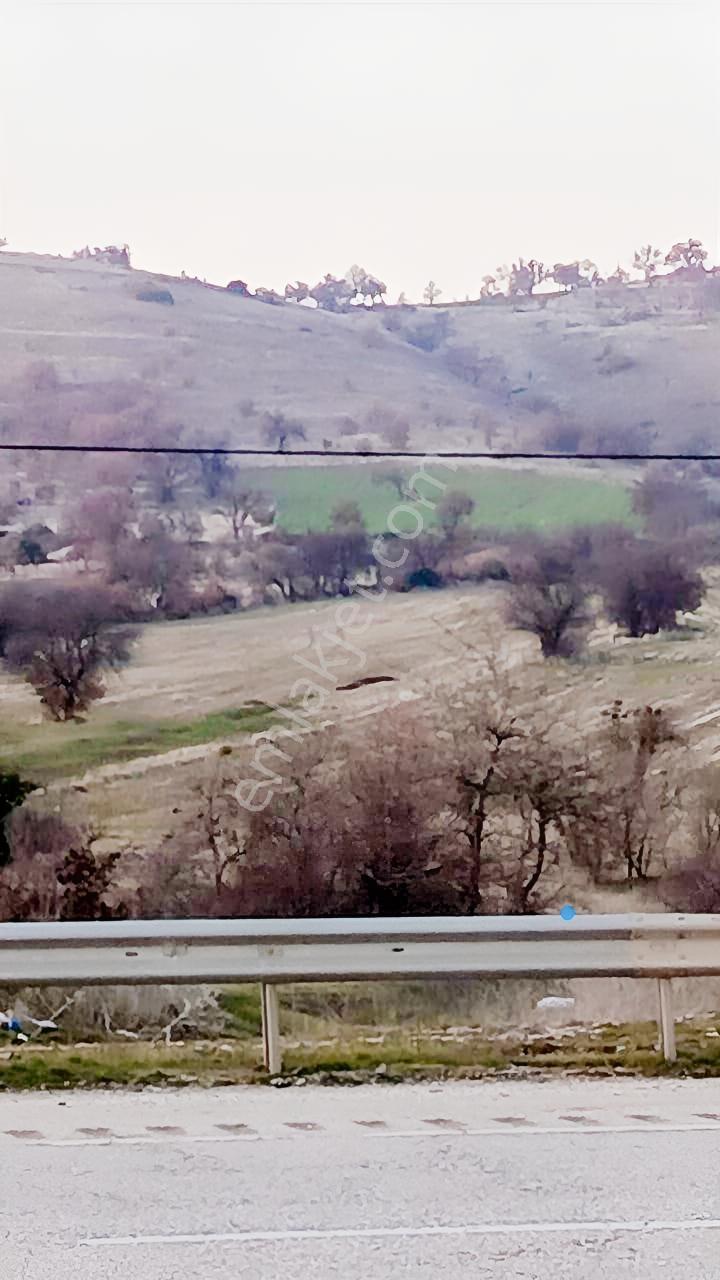 Manisa Kula Ana Yoluna Yakın Yola Cepheli Fırsat Satılık Bağ - Görsel 16