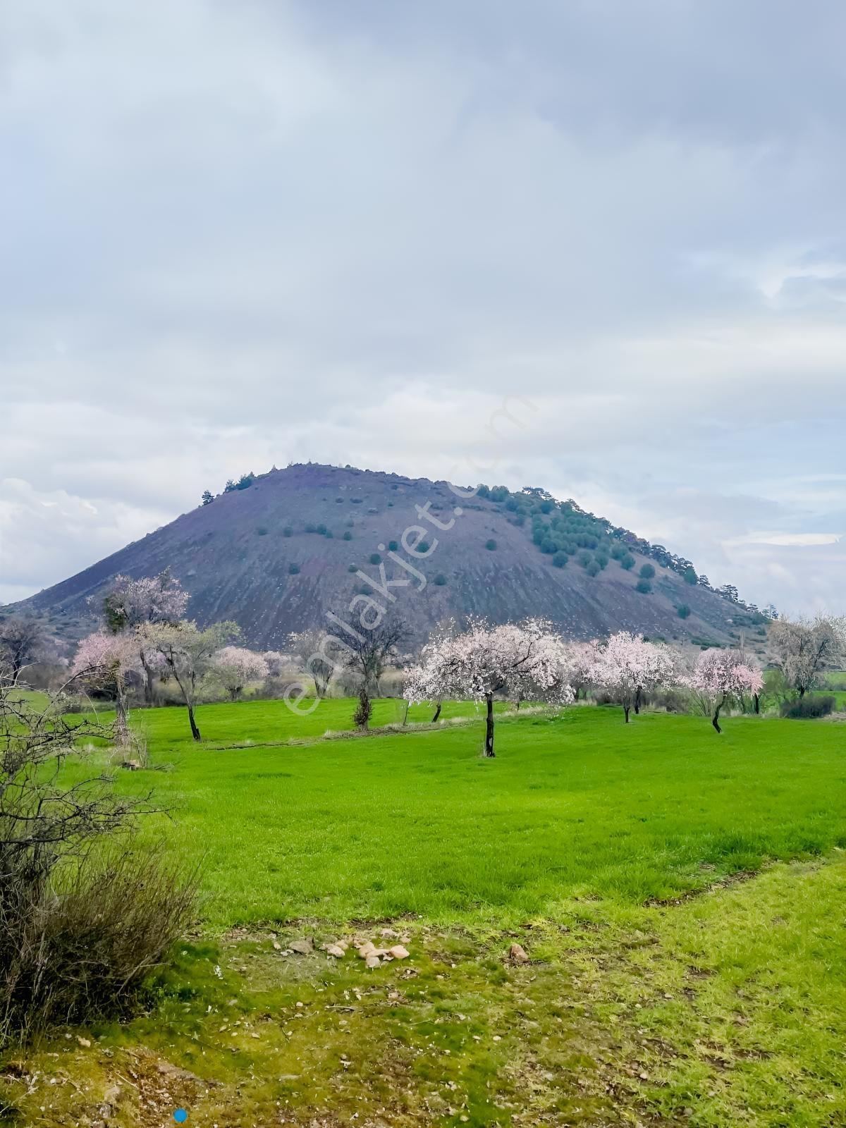 Manisa Kula Ana Yoluna Yakın Yola Cepheli Fırsat Satılık Bağ - Görsel 15