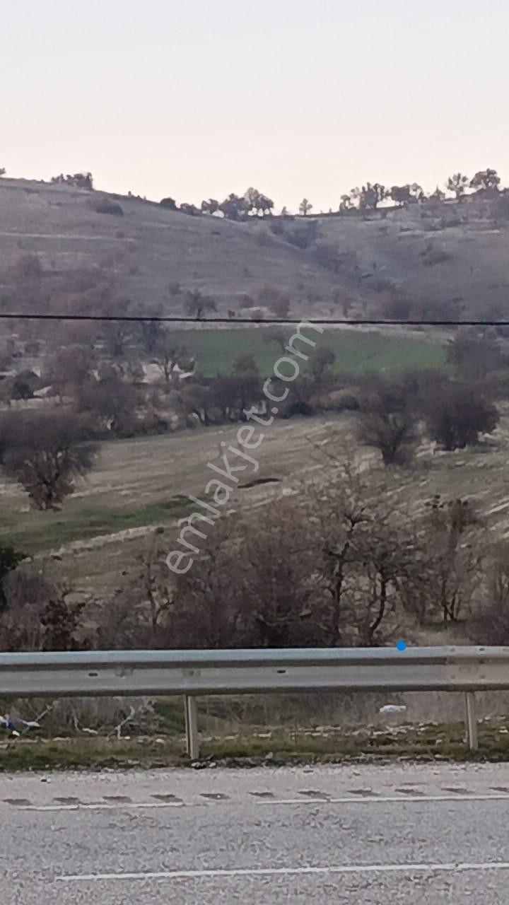 Manisa Kula Ana Yoluna Yakın Yola Cepheli Fırsat Satılık Bağ - Görsel 10