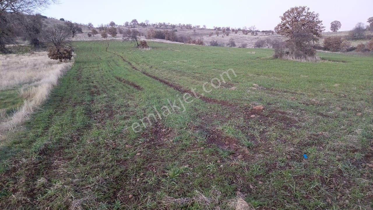 Manisa Kula Ana Yoluna Yakın Yola Cepheli Fırsat Satılık Bağ - Görsel 14
