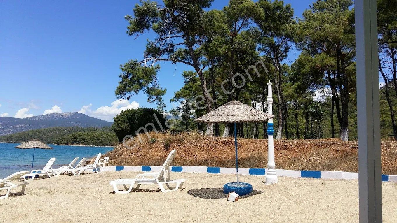 Doğa Ve Denizin Eşsiz Birleşimi Akbük Çamlıkoy Sitesi