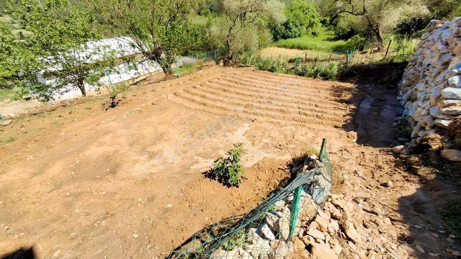 600 M2 Bahçe Içınde Kapanmaz Orman Manzaralı Ikı Katlı Müstakıl - Görsel 23