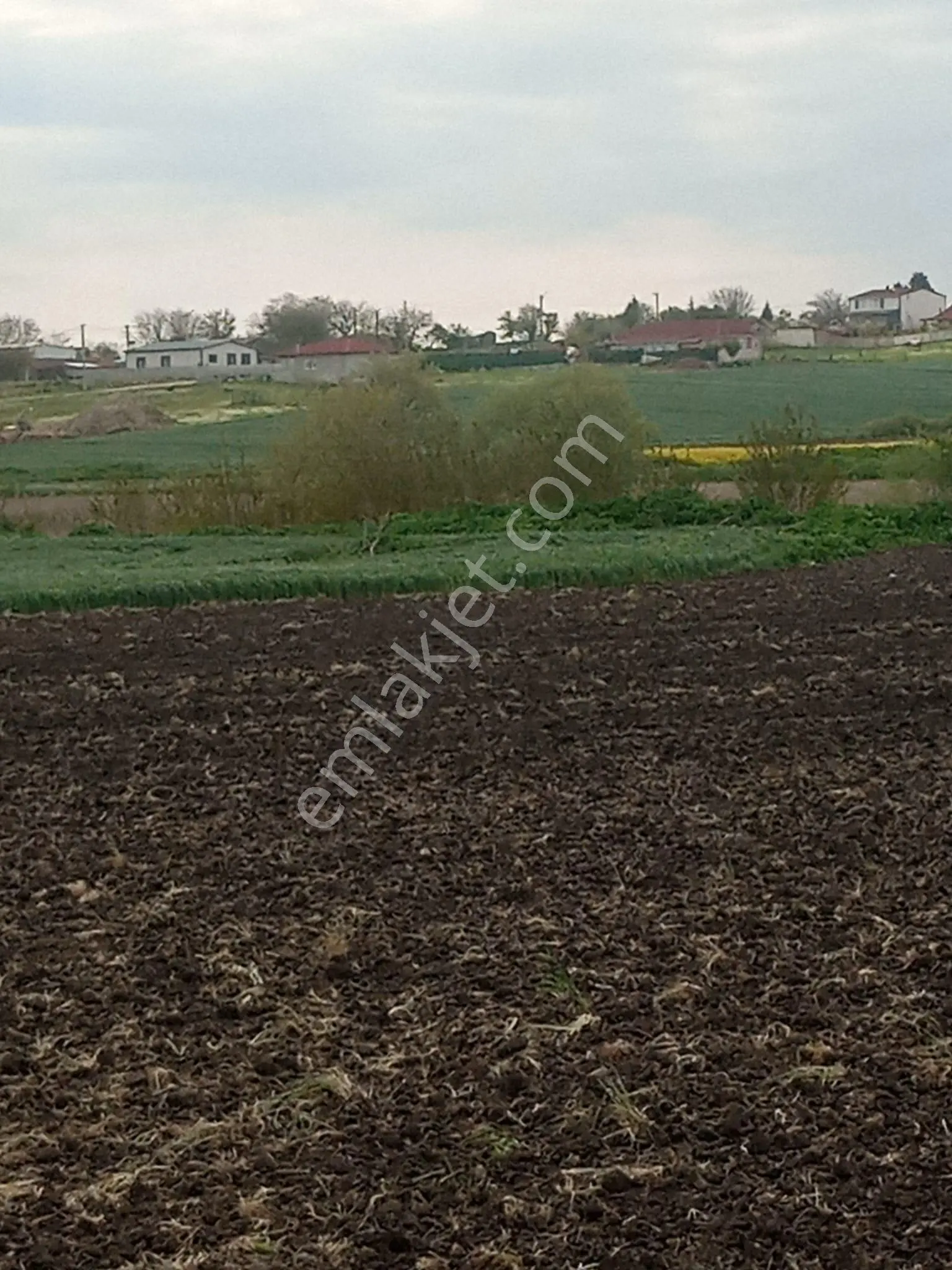 Saray Yuvalı'da İster Yatırımlık İster Tarım İçin1871 M2 Tarla - Görsel 5