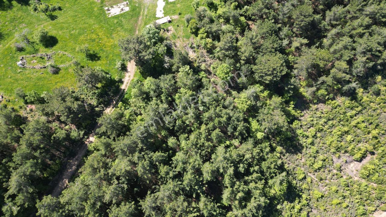 Havran Kocadağ'da Eski Köy Merkezinde Satılık Tarla