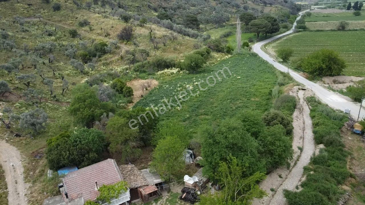 Söke Sayrakçı Köyü Ana Yola Cepheli - Görsel 7