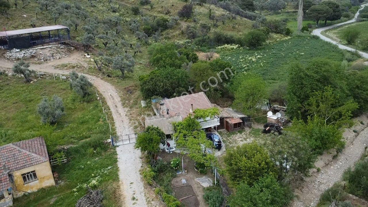 Söke Sayrakçı Köyü Ana Yola Cepheli - Görsel 6
