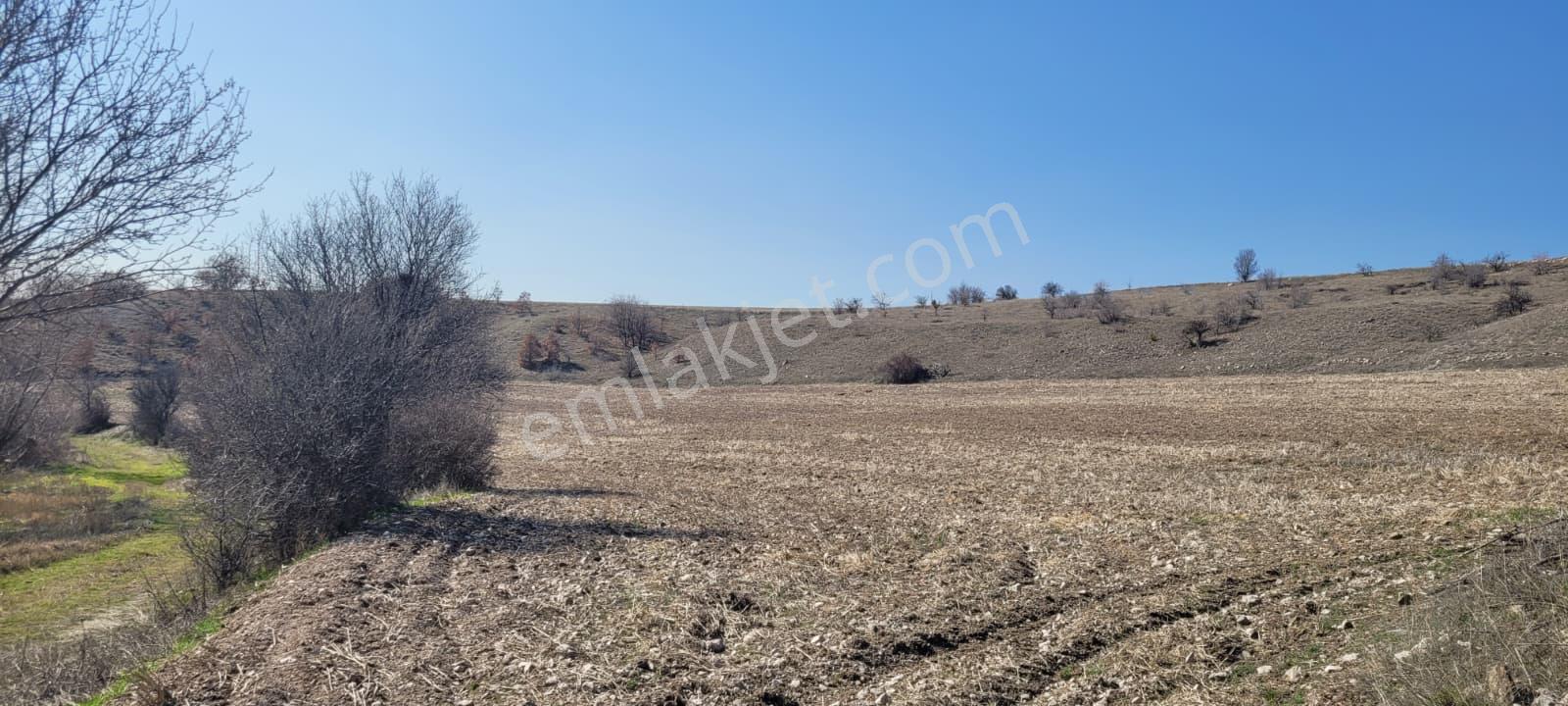 Sahibinden Kazan Akçaören'de Yola Cepheli, Su Yanında 5.000 M² Tek Tapu - Görsel 3