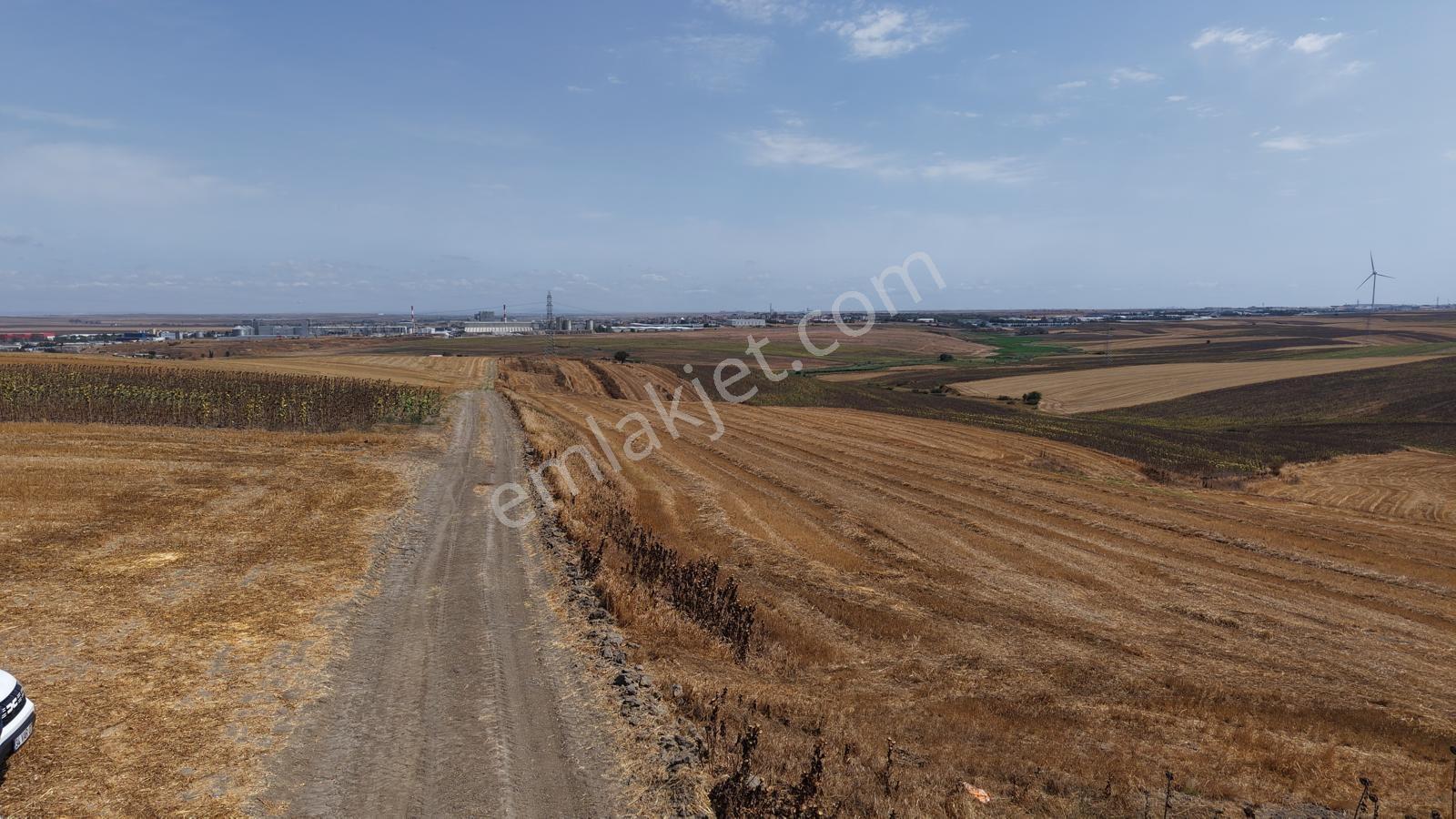 Cadde Gayrimenkul’den Ergene Kırkgöz Mahallesi 9.800m2 Satılık Tarla - Görsel 28