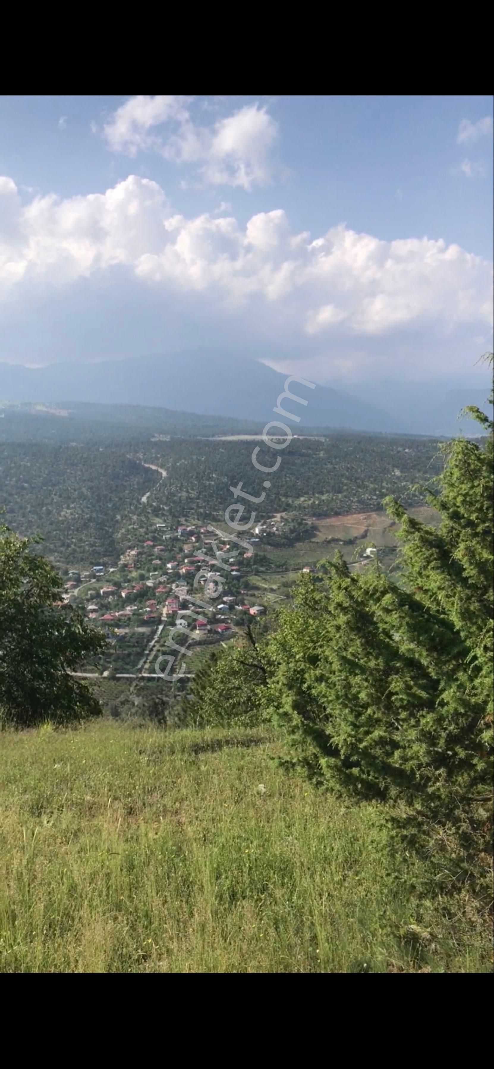 Satılık Eşsiz Konumda Arsa – Doğayla İç İçe, Manzaralı Yatırım Fırsatı