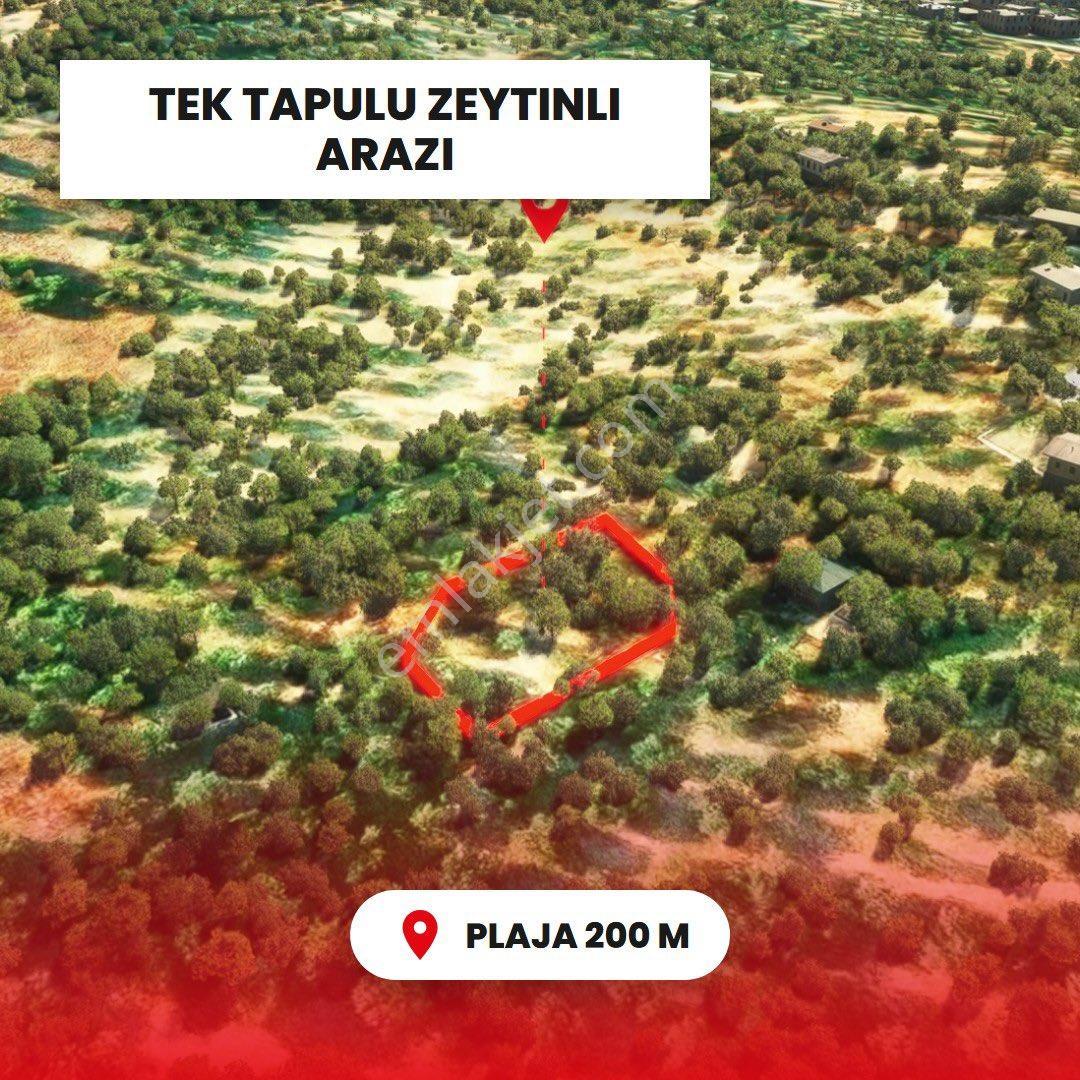 Plaja Yakın Yatırımlık - Görsel 3