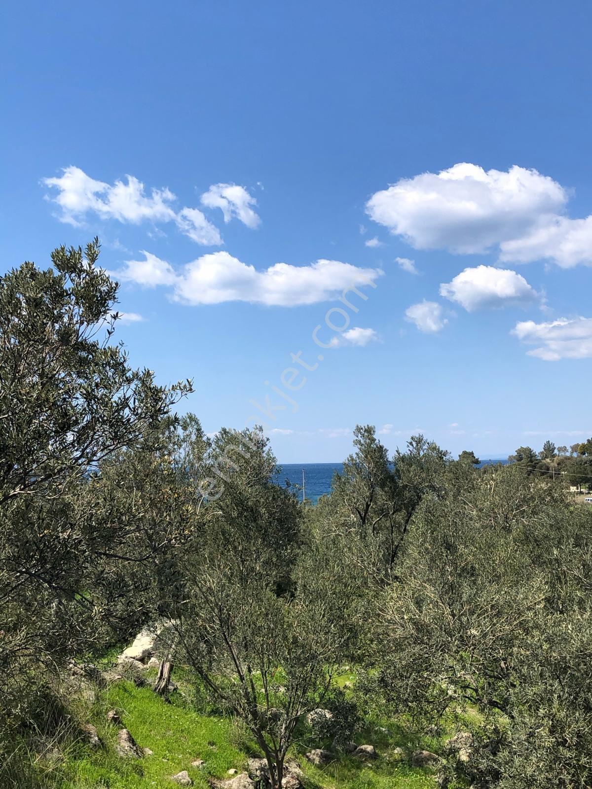 Plaja Yakın Yatırımlık - Görsel 7