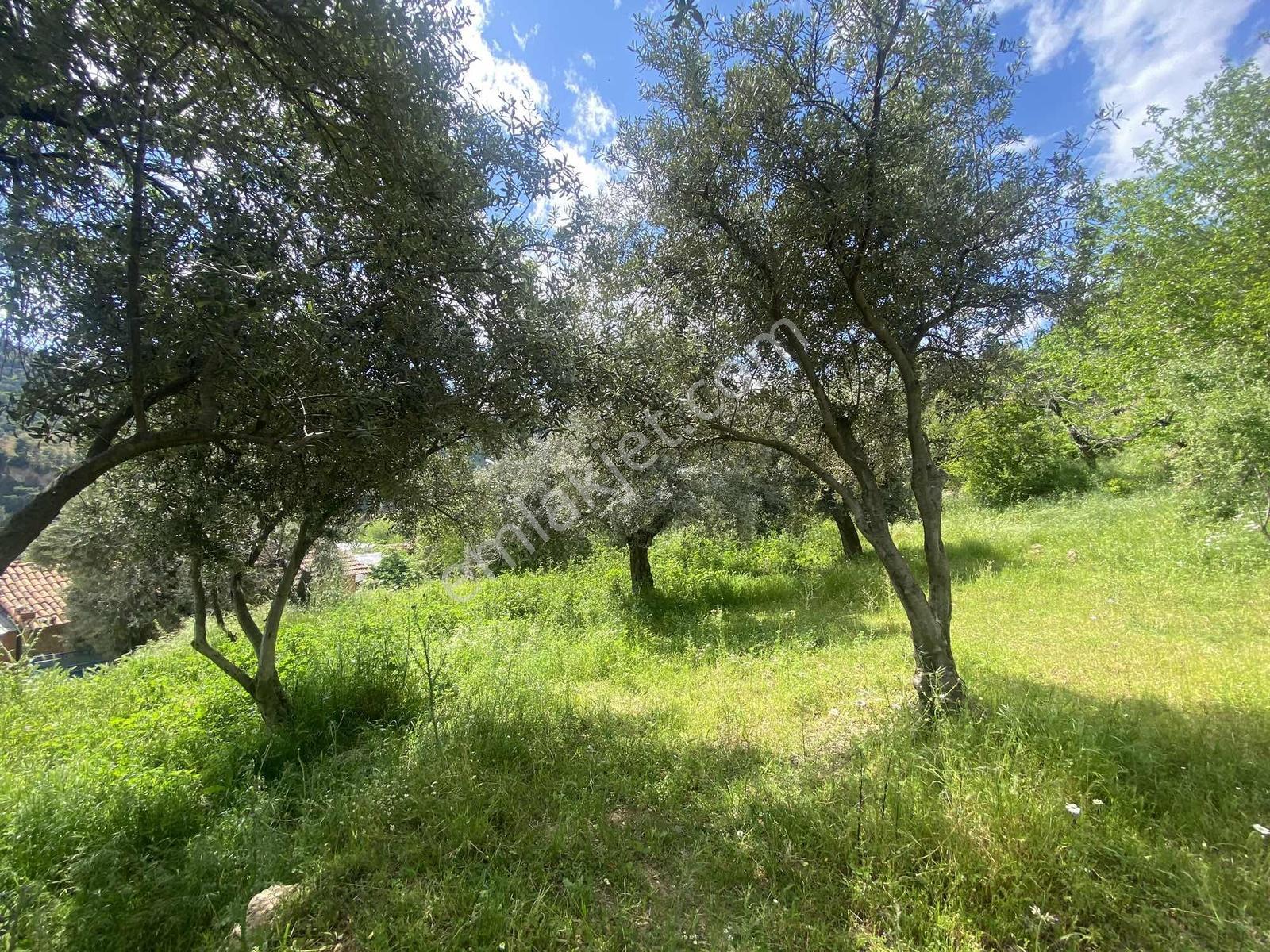 Remax Pin'den Doğanın Kalbinde 1.616 M2 Yatırım Fırsatı! - Görsel 5