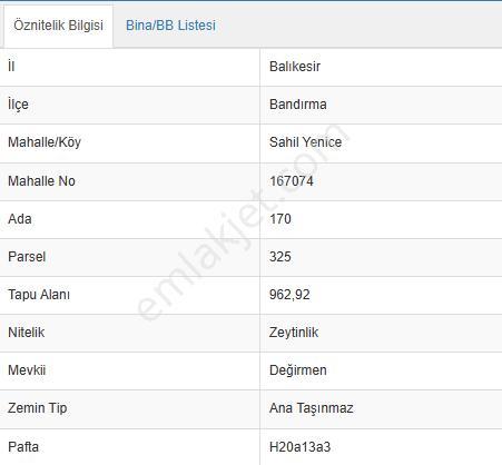 Balıkesir Bandırma Sahil Yenice Mah. 962 M2 Satılık Zeytinlik Deniz Manzaralı Merkeze Yakın - Görsel 6