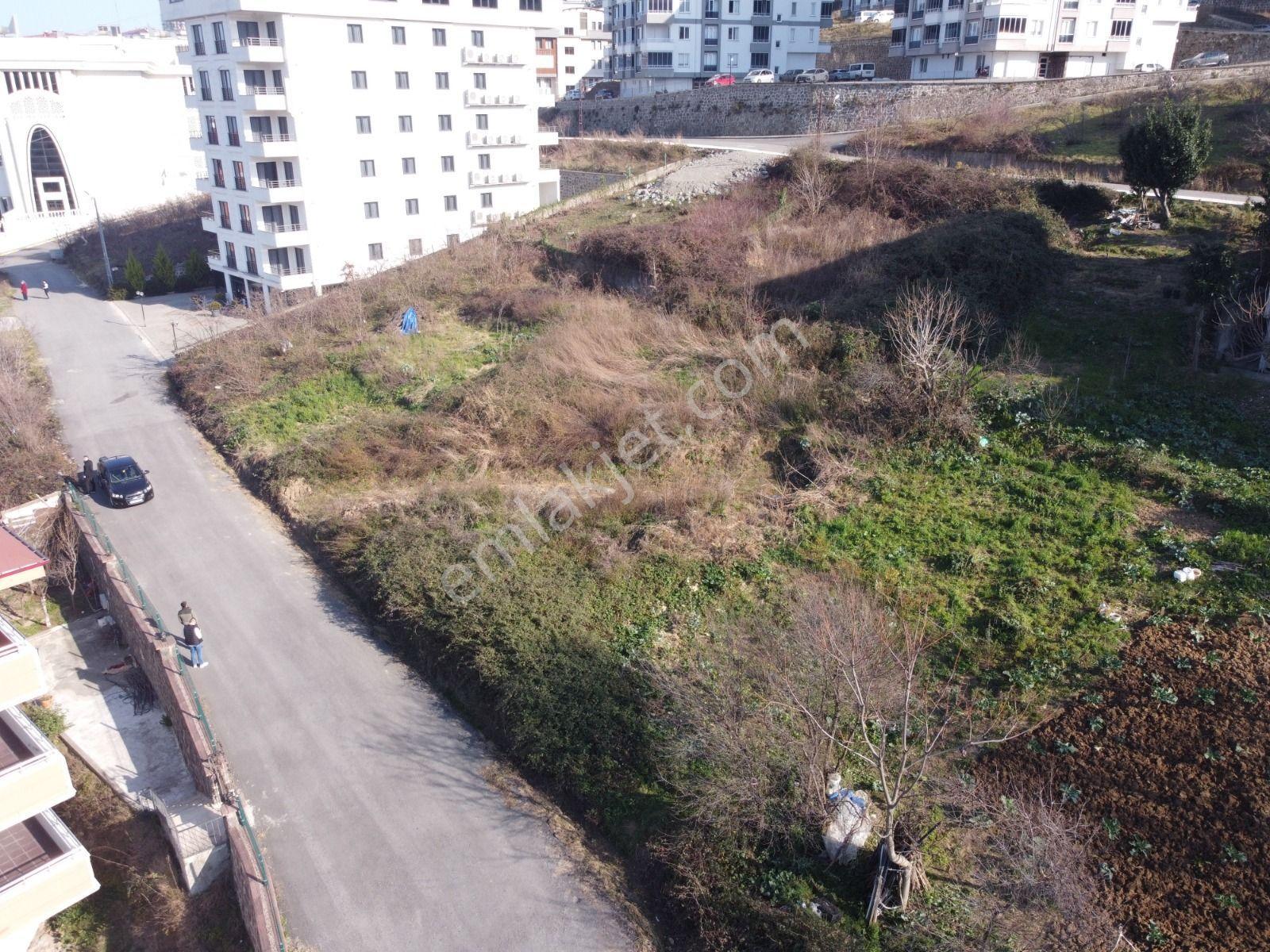 Yalı Gayrimenkulden 2 Nolu Bostancı Projesi Hazır Satılık 557 M2 - Görsel 4