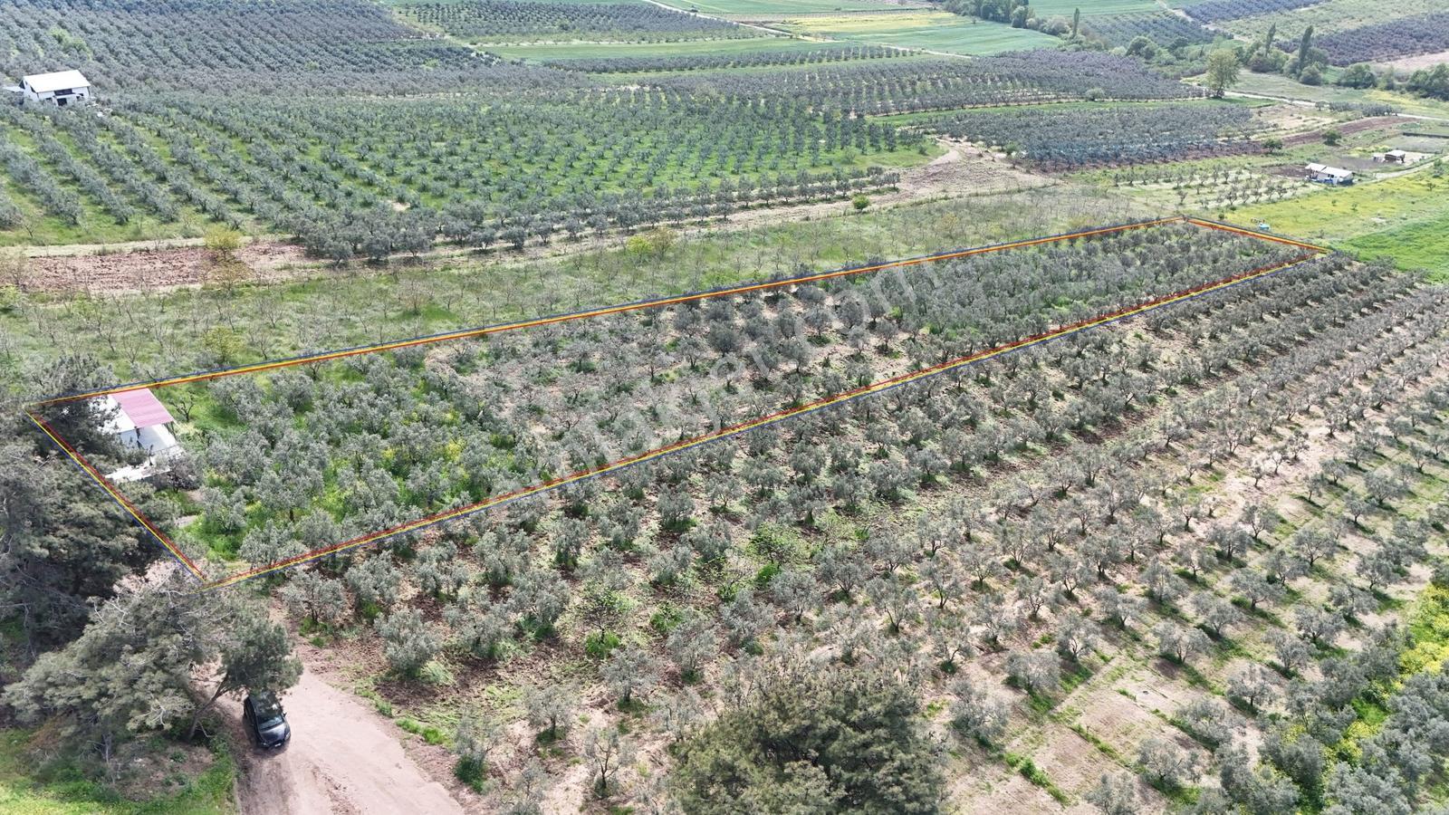 Ülkü Köyde 845m2 Kadastro Yollu Bahçe, Villa Bölgesinde Profasor - Görsel 10