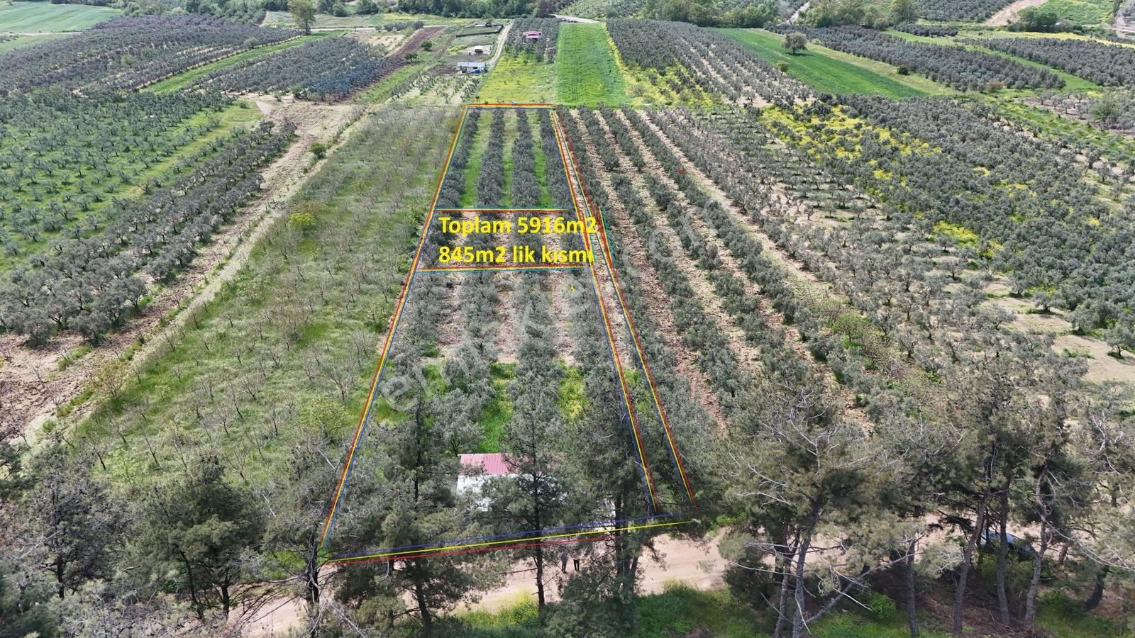Ülkü Köyde 845m2 Kadastro Yollu Bahçe, Villa Bölgesinde Profasor - Görsel 8