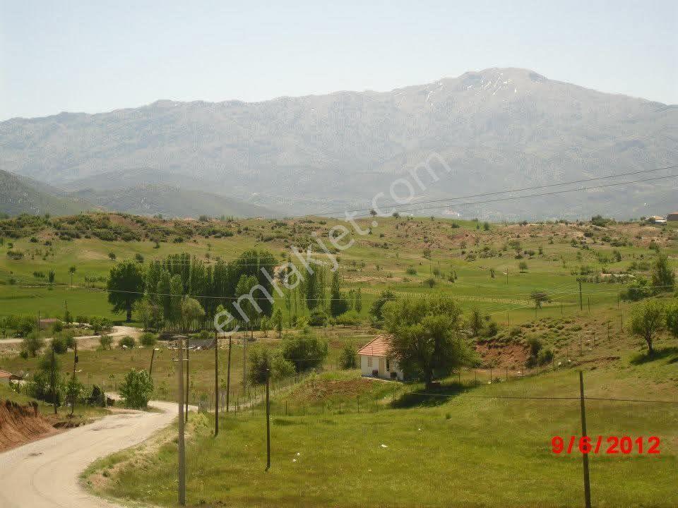 Seydikemer Yayla Patlangıç Kavaklıdere Mevki Satılık.2.658 Tarla - Görsel 3