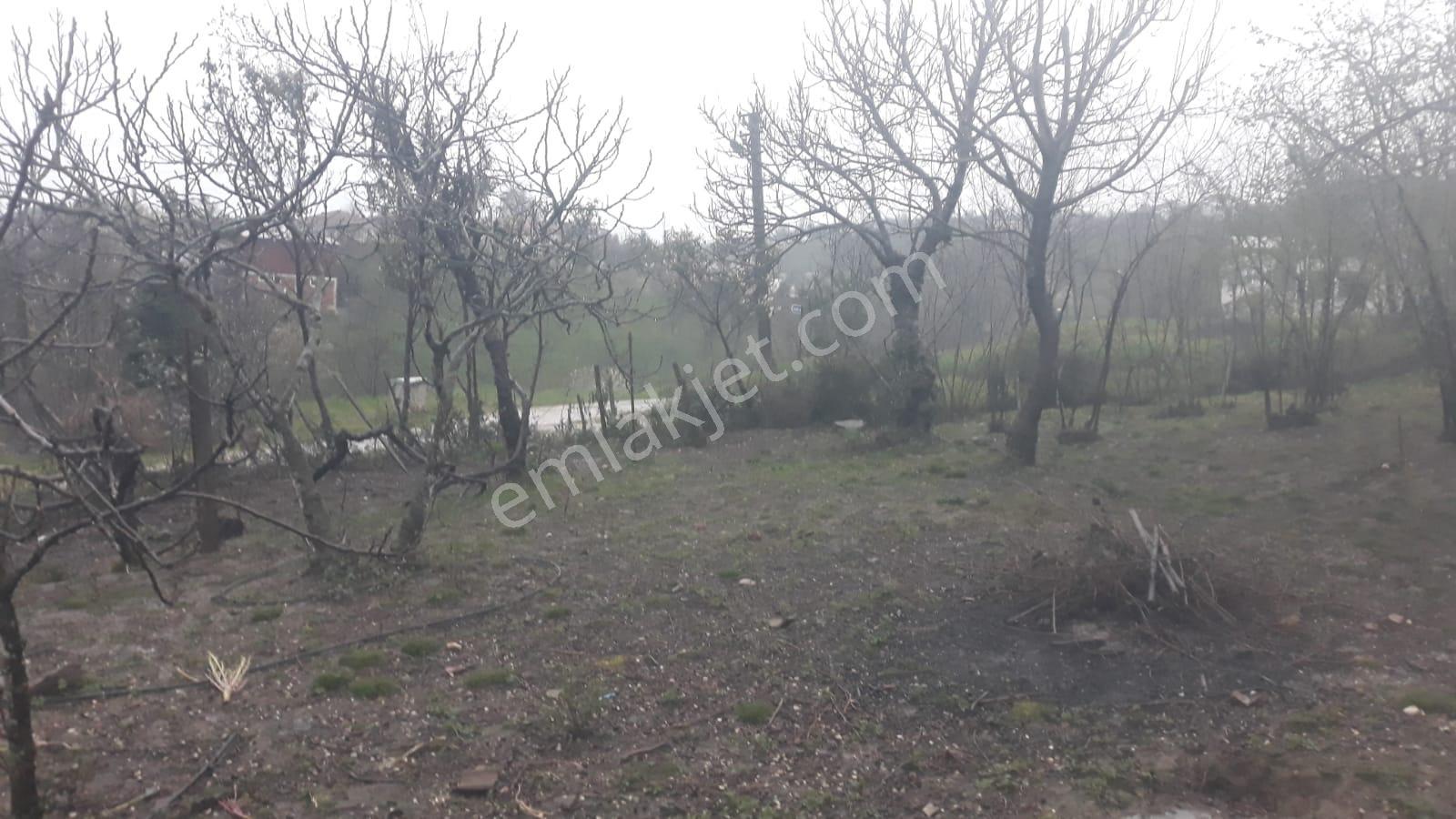 Kuzuluk Topçusırtı'nda 853m² İmarlı Arsa - Görsel 7
