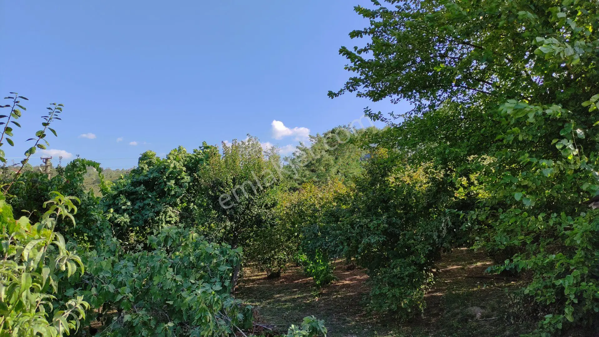 Kuzuluk Topçusırtı'nda 853m² İmarlı Arsa - Görsel 2