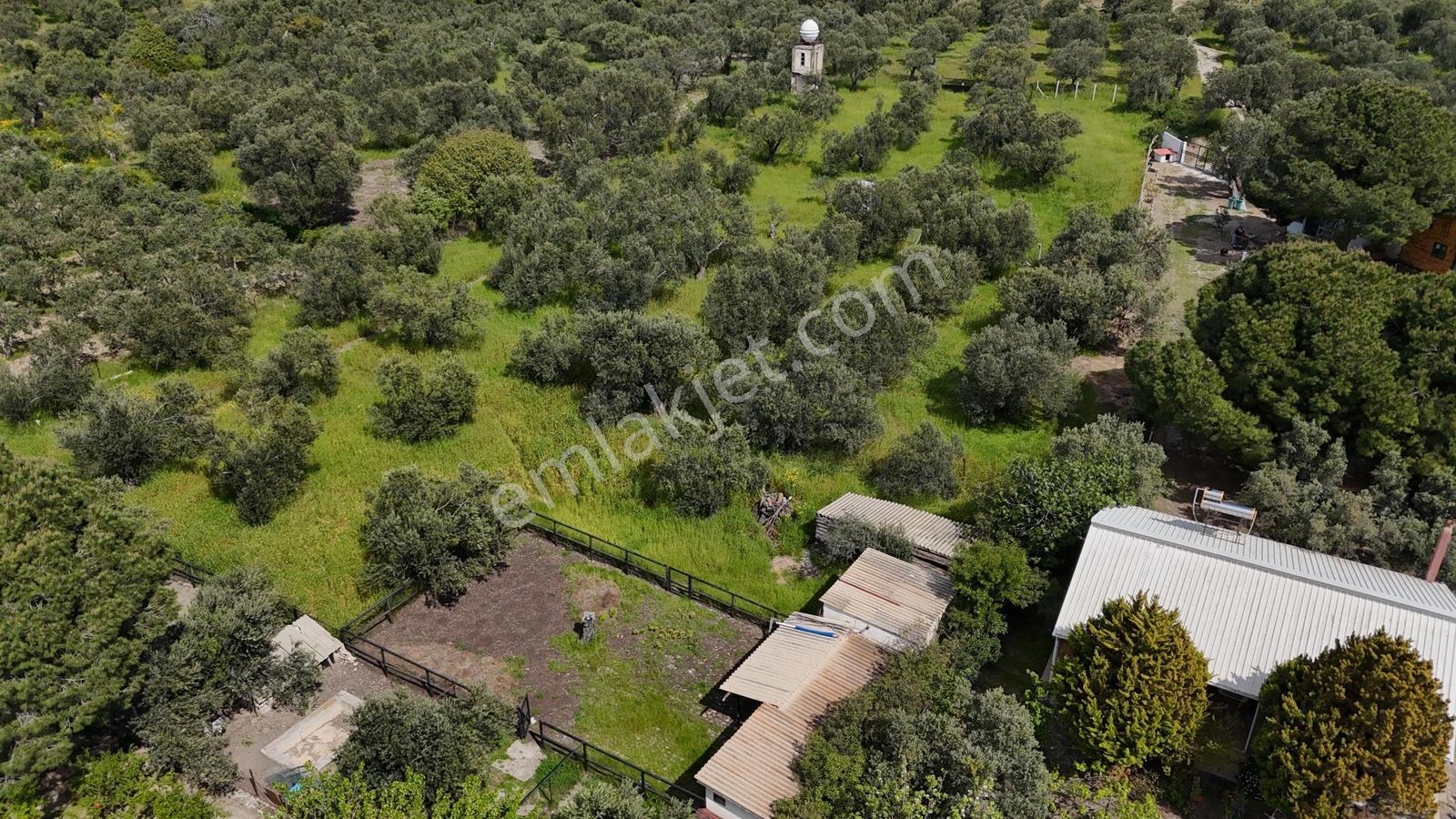 Kalem Adası Karşısı Denize 100 Metre Çiftlik Evi - Görsel 16