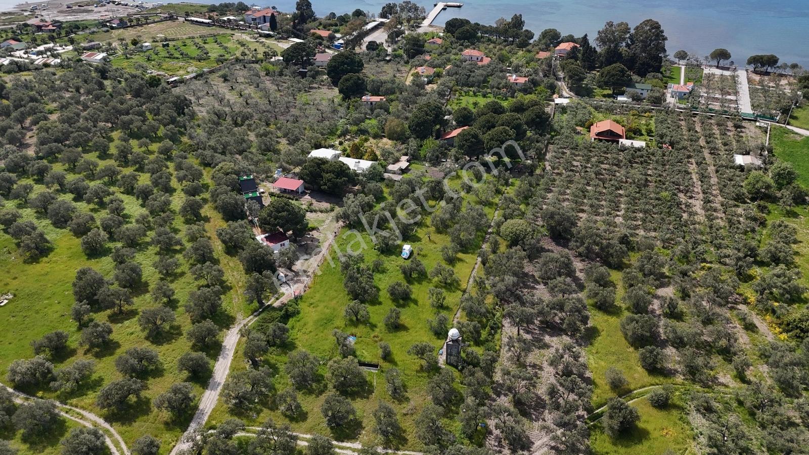 Kalem Adası Karşısı Denize 100 Metre Çiftlik Evi - Görsel 13