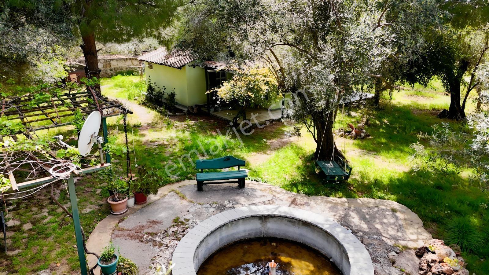 Kalem Adası Karşısı Denize 100 Metre Çiftlik Evi - Görsel 25