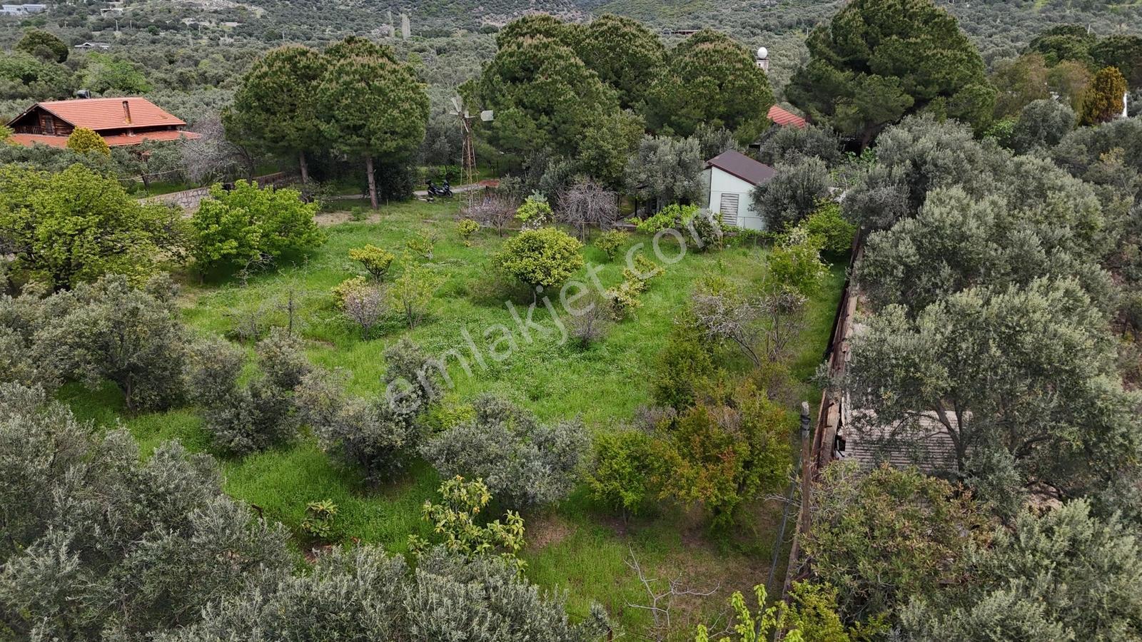 Kalem Adası Karşısı Denize 100 Metre Çiftlik Evi - Görsel 7
