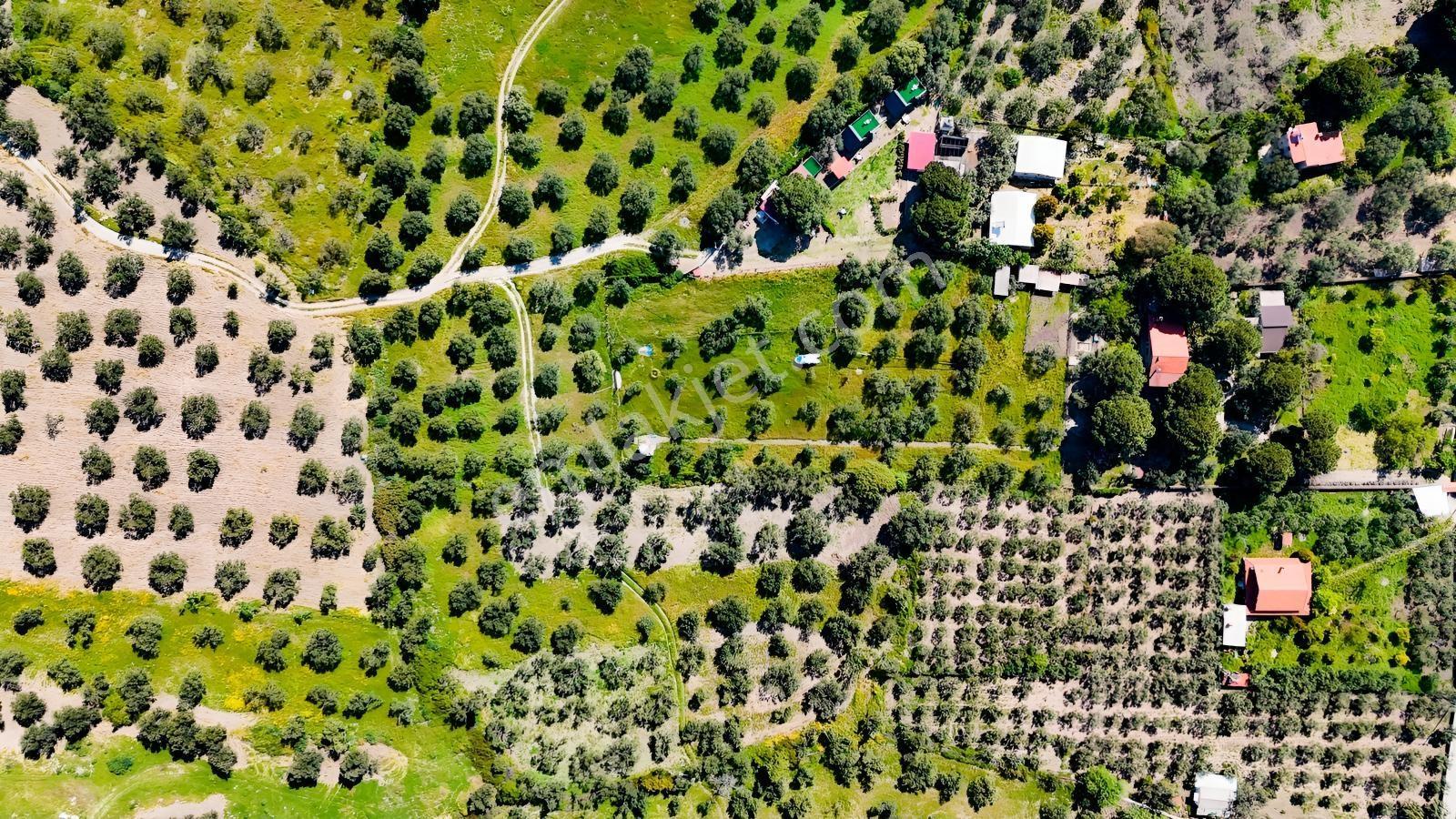 Kalem Adası Karşısı Denize 100 Metre Çiftlik Evi - Görsel 6