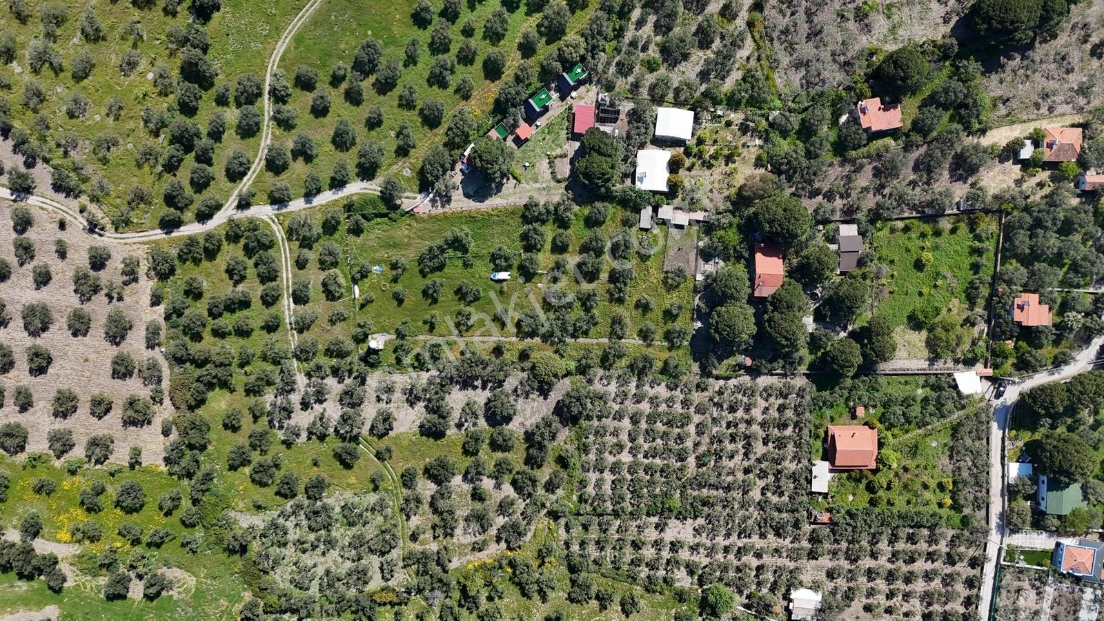 Kalem Adası Karşısı Denize 100 Metre Çiftlik Evi - Görsel 9