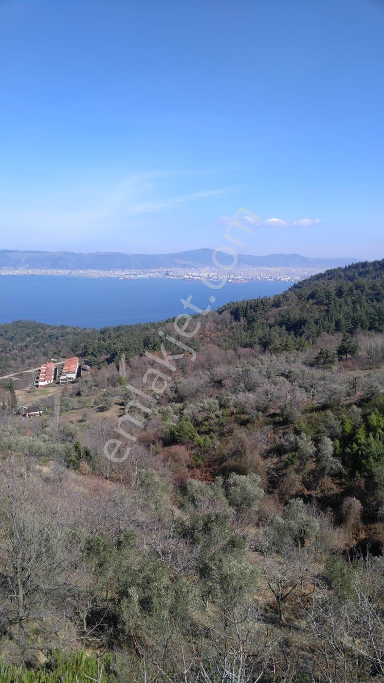 Yol+su+elektrik (yapı Kayıt Belgeli 1500m2 Bağ)